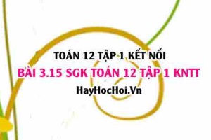 Bài 3.15 SGK Toán 12 tập 1 Kết nối tri thức